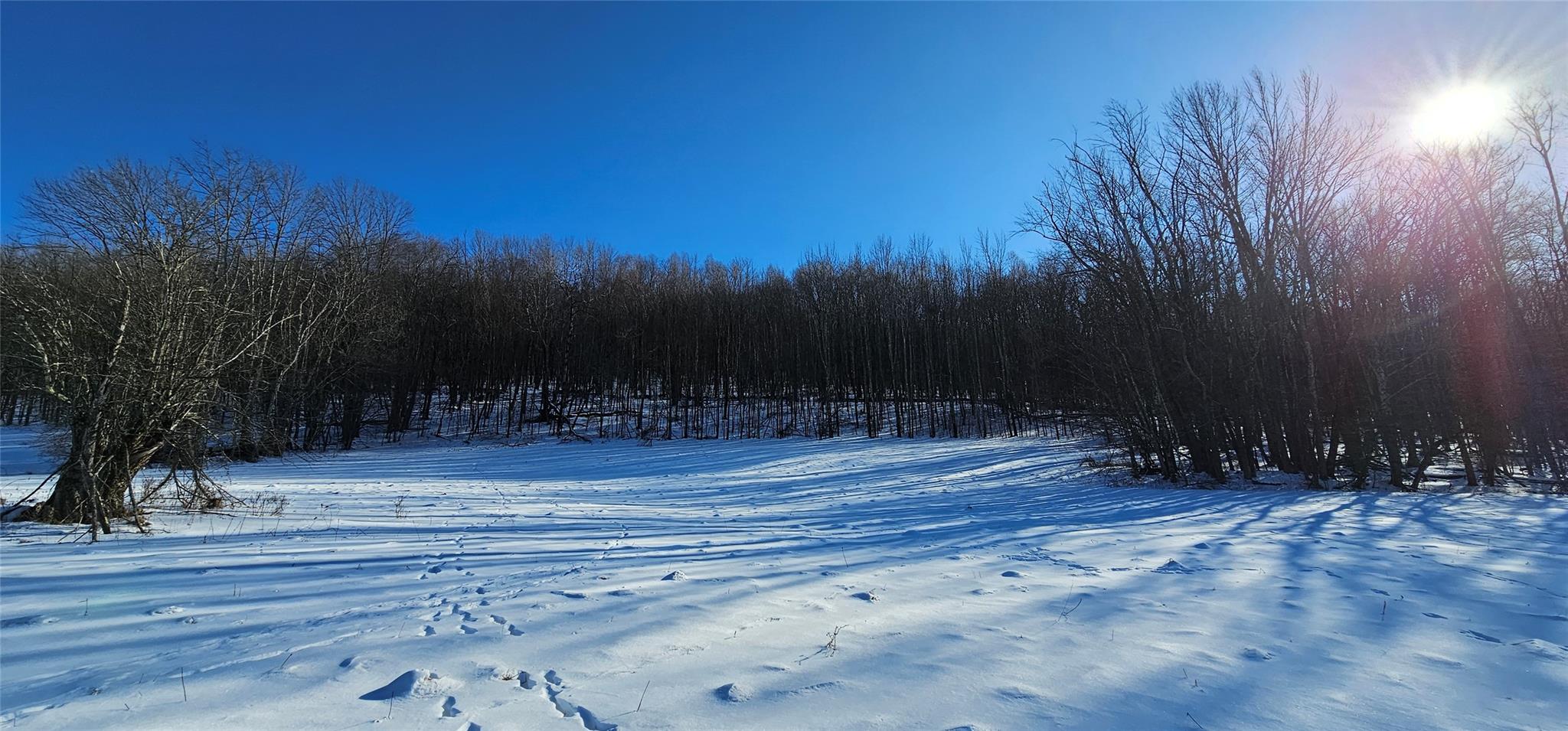 Lot 7.4 Hankins Road Fremont Center, NY 12736 - Photo 8 of 14 a view of a backyard