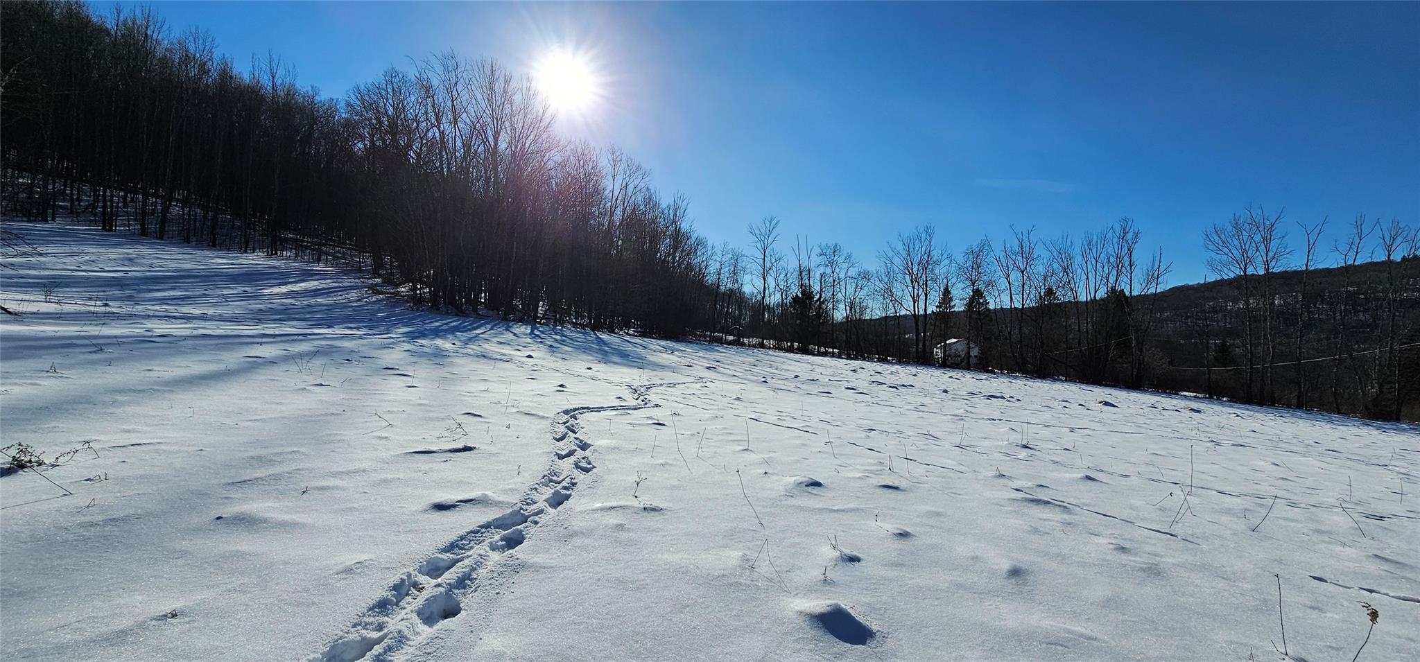 Lot 7.4 Hankins Road Fremont Center, NY 12736 - Photo 9 of 14 a view of snow on the beach