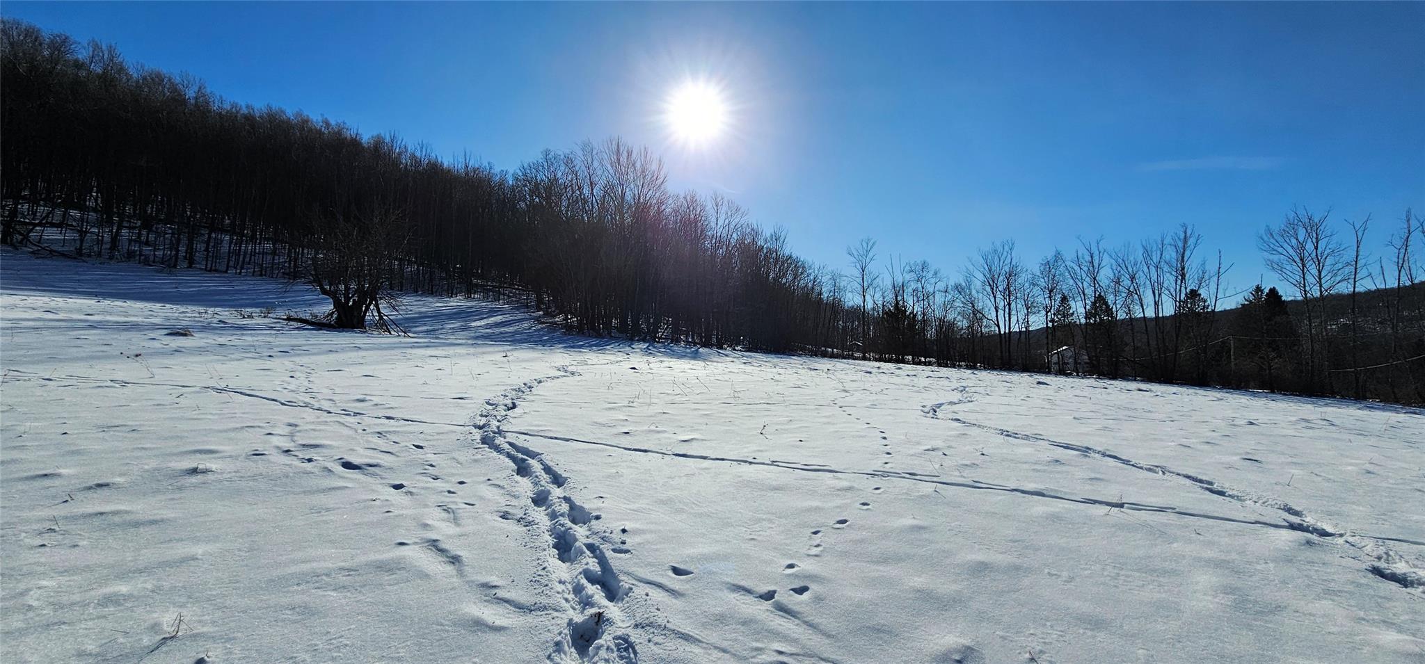 Lot 7.4 Hankins Road Fremont Center, NY 12736 - Photo 10 of 14 a view of outdoor space with trees