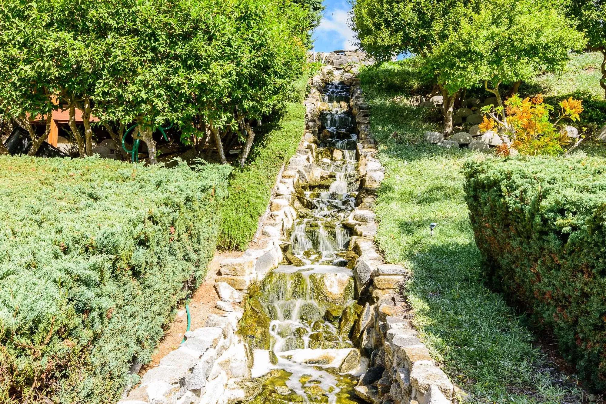262 Brookside Lane Oceanside, CA 92056 - Photo 34 of 43 a backyard of a house with lots of green space and garden