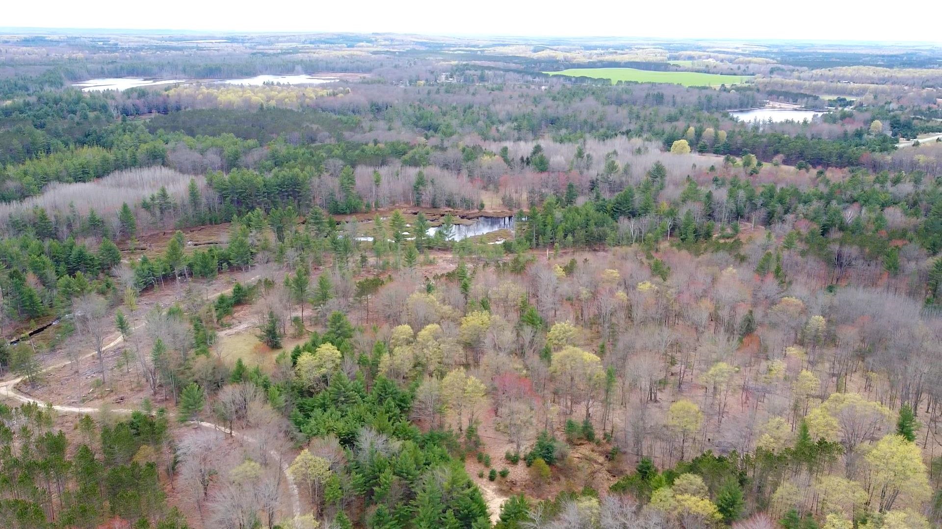 Southeast Spencer Road Southeast Kalkaska, MI 49646 - Photo 28 of 36