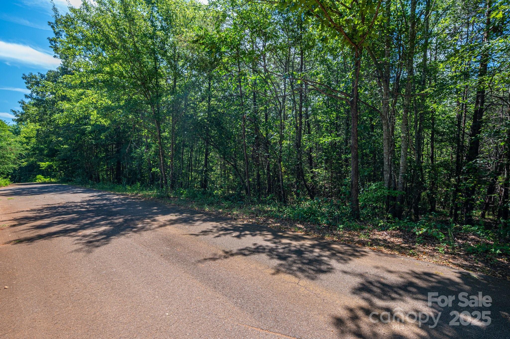 Lot # Meadow Crossing Drive Rutherfordton, NC 28139 - Photo 11 of 14 a view of a dirt road with trees in the background
