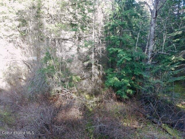 Nna East Bell Canyon Road Harrison, ID 83833 - Photo 13 of 22 _app_sd_ATOM_001_DCIM_PTSC_0070