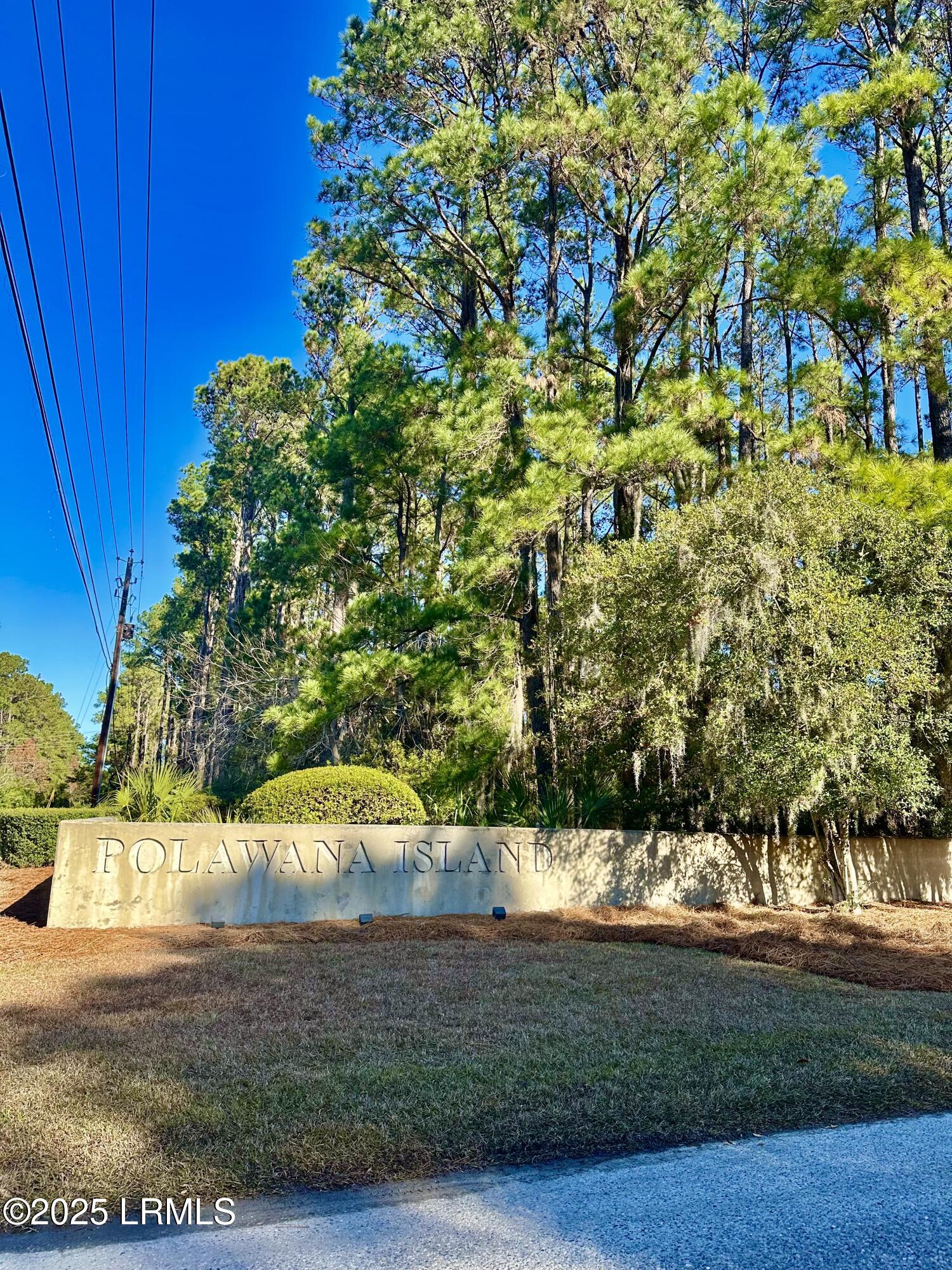 174 Polowana Road St. Helena Island, SC 29920 - Photo 12 of 31 IMG_8453