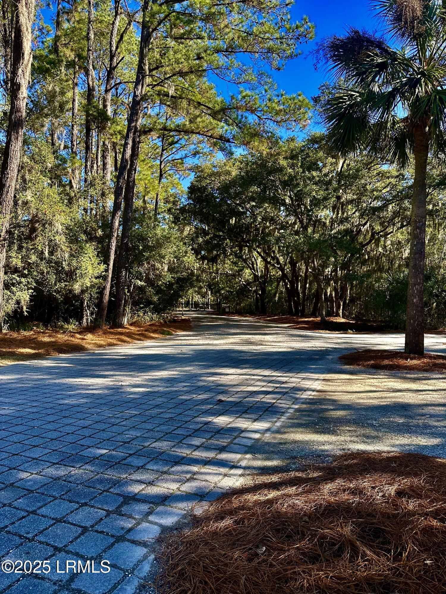 174 Polowana Road St. Helena Island, SC 29920 - Photo 15 of 31 IMG_8456