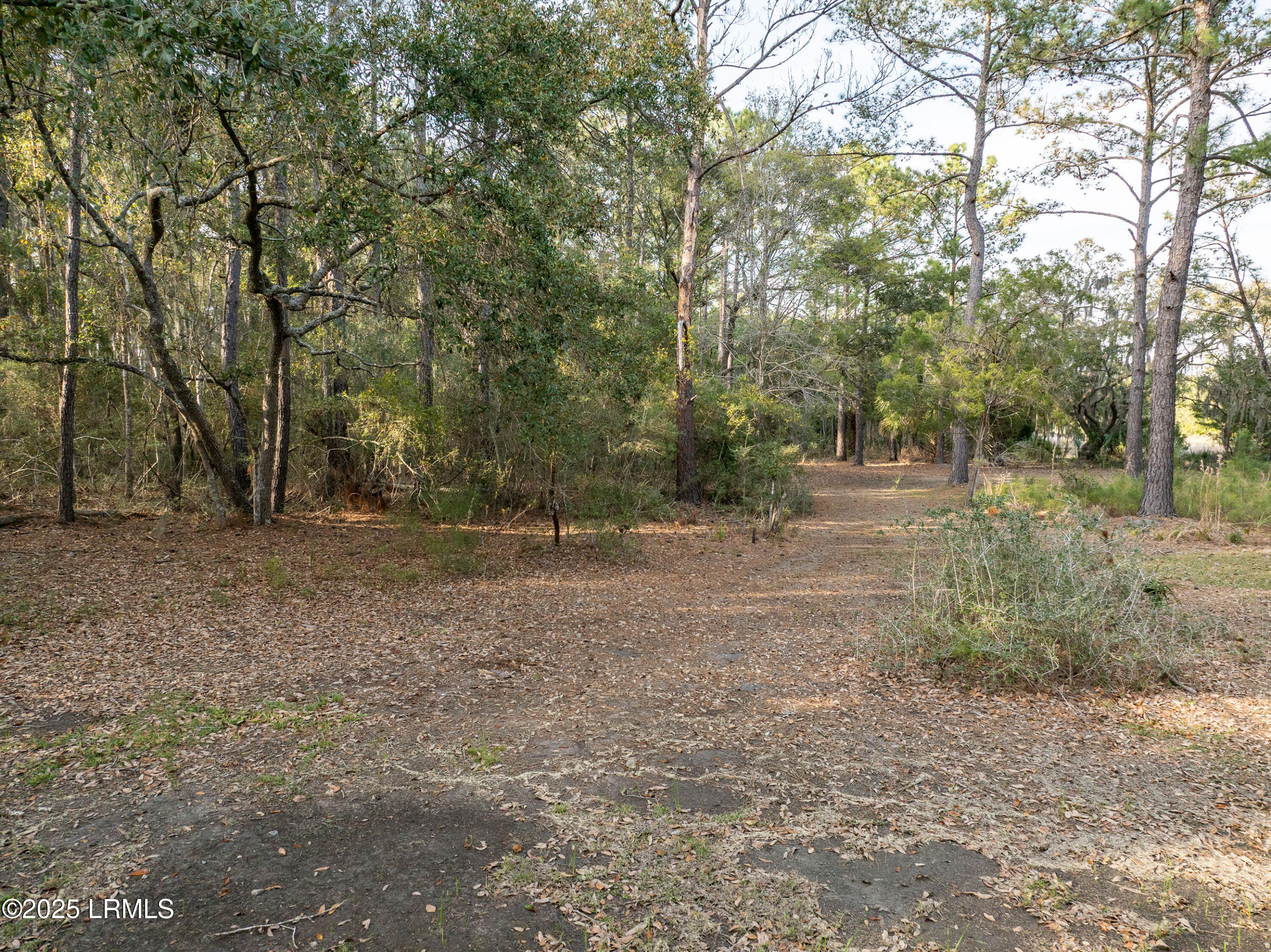 174 Polowana Road St. Helena Island, SC 29920 - Photo 10 of 31 DJI_20250319180025_0103_D-1.jpg-FULL