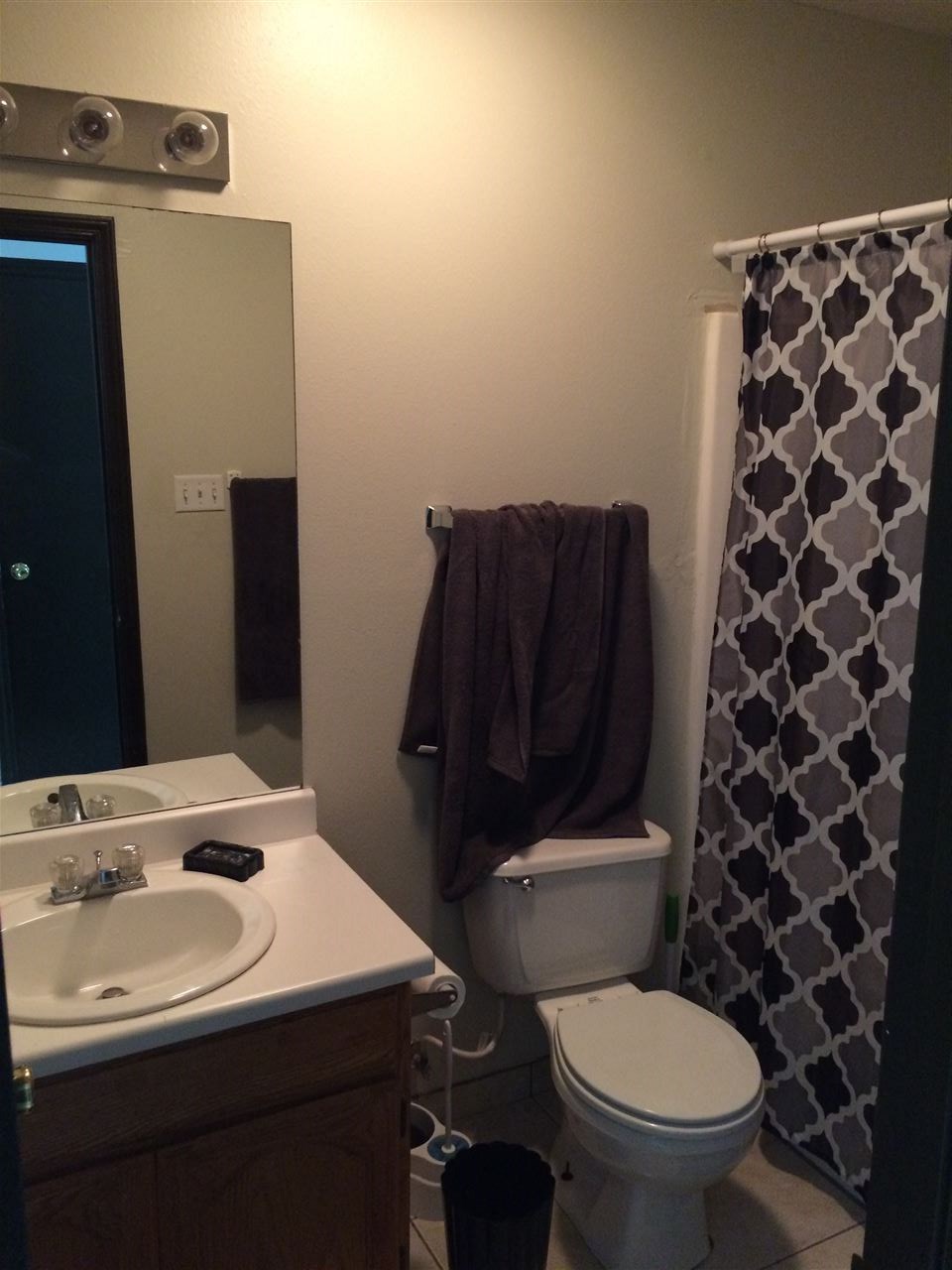 732 Zebra Drive Laredo, TX 78045 - Photo 7 of 9 a bathroom with a sink a toilet and a mirror
