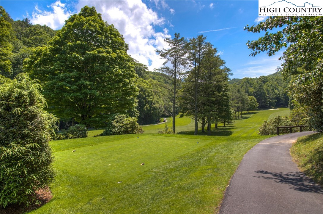 601 The Forest, Unit A2 Boone, NC 28607 - Photo 25 of 28 Gallery Image 25