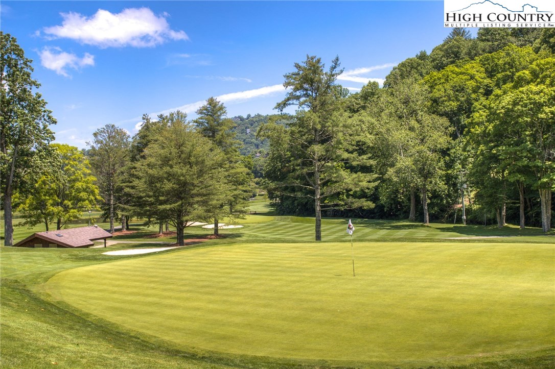 601 The Forest, Unit A2 Boone, NC 28607 - Photo 5 of 28 Gallery Image 5