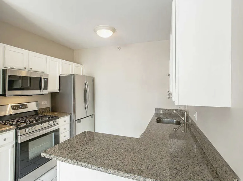 600 North Dearborn Street, Unit 1207 Chicago, IL 60654 - Photo 3 of 19