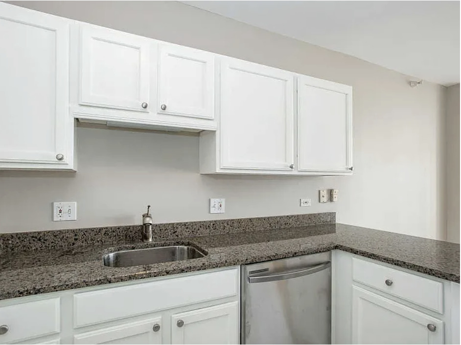 600 North Dearborn Street, Unit 1207 Chicago, IL 60654 - Photo 4 of 19