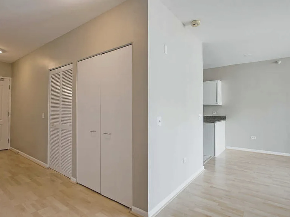 600 North Dearborn Street, Unit 1207 Chicago, IL 60654 - Photo 8 of 19