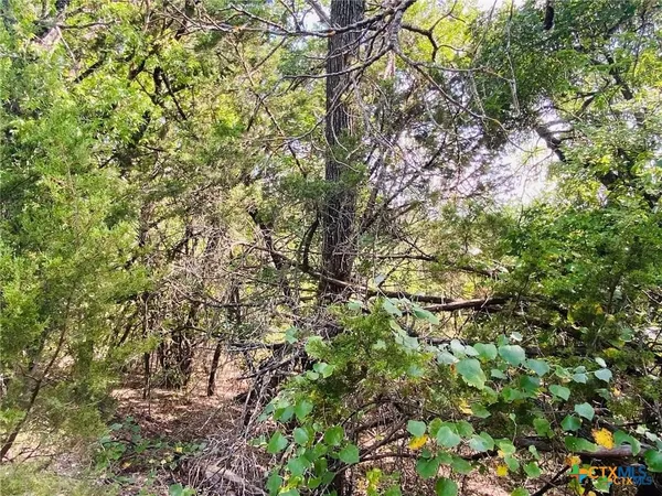 a view of wooden floor