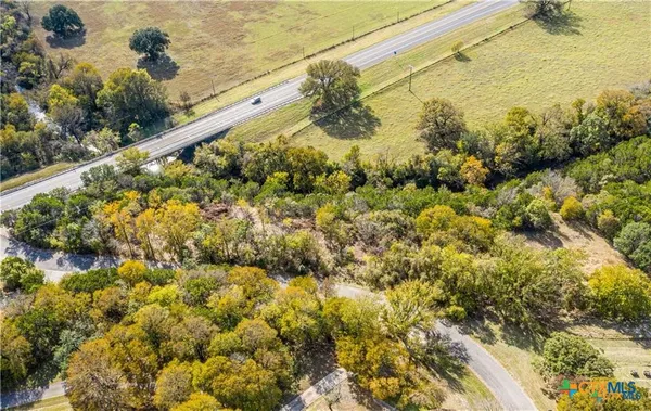 a view of a garden with a plant