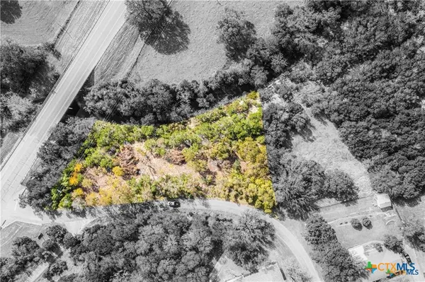 a view of a garden with flowers