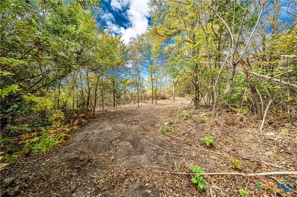 a view of a yard with plants and trees