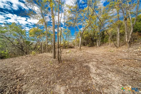 a view of outdoor space and trees