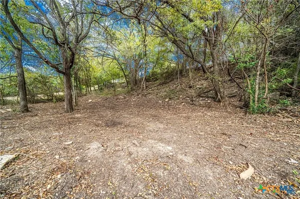 a view of large trees with wooden fence