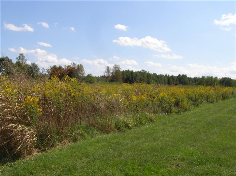 116 Pine Grove Road Richmond, KY 40475 - Photo 2 of 5 Photo 2