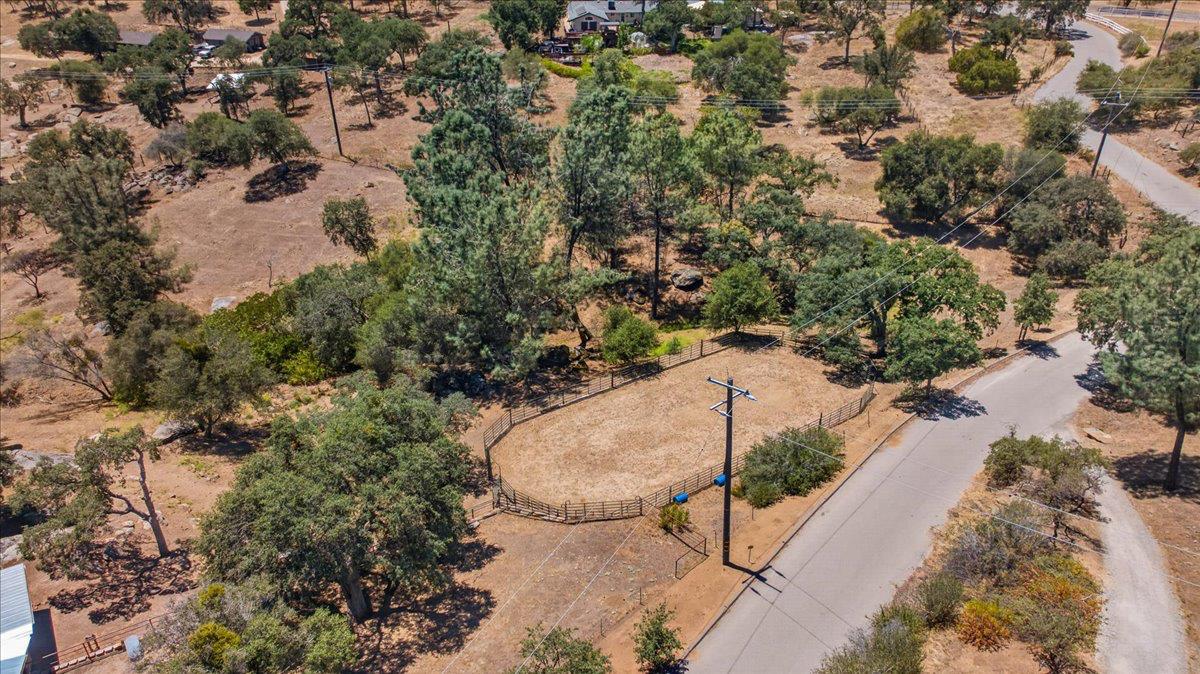 45894 Farmstead Road Coarsegold, CA 93614 - Photo 19 of 83