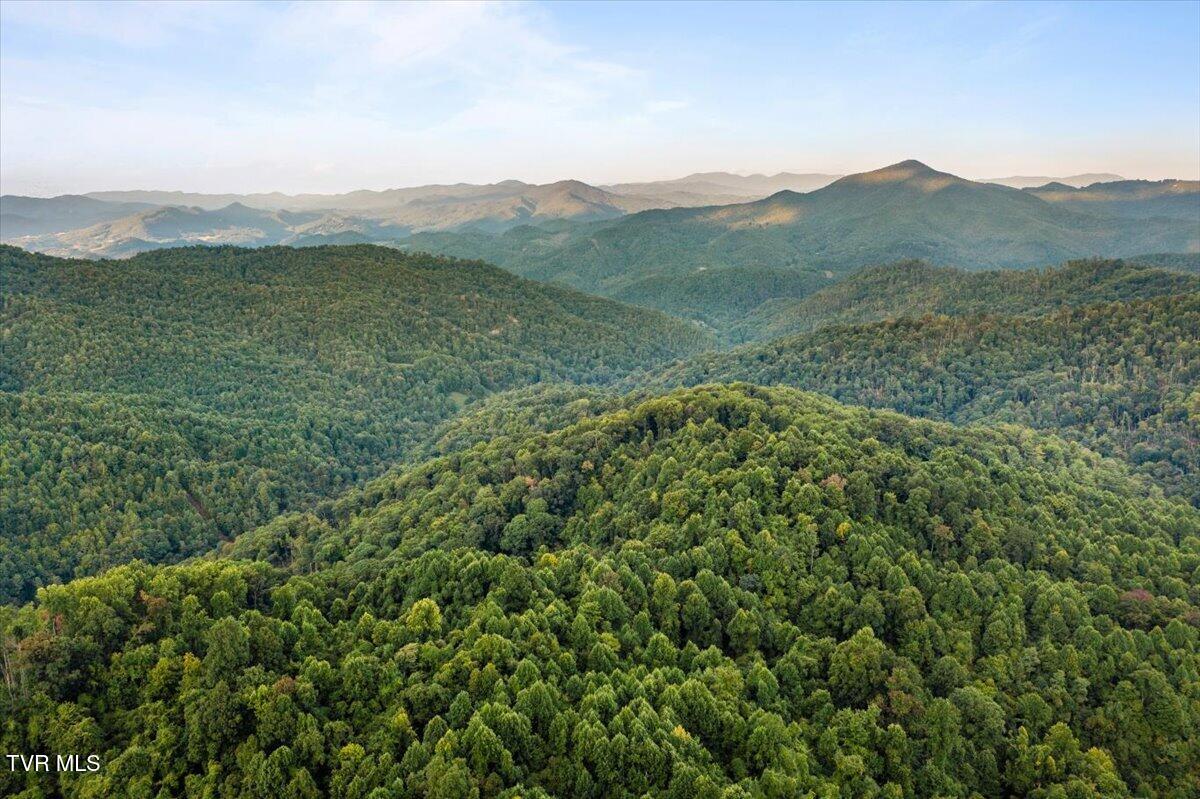 1259 Heaton Branch Road Butler, TN 37640 - Photo 13 of 20 09-DJI_0864