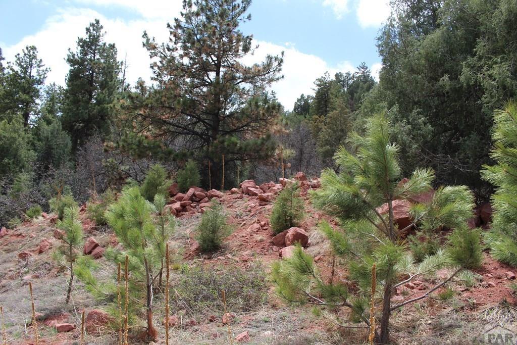 4100 Northcreek Road Beulah, CO 81023 - Photo 14 of 19 Gallery Image 14