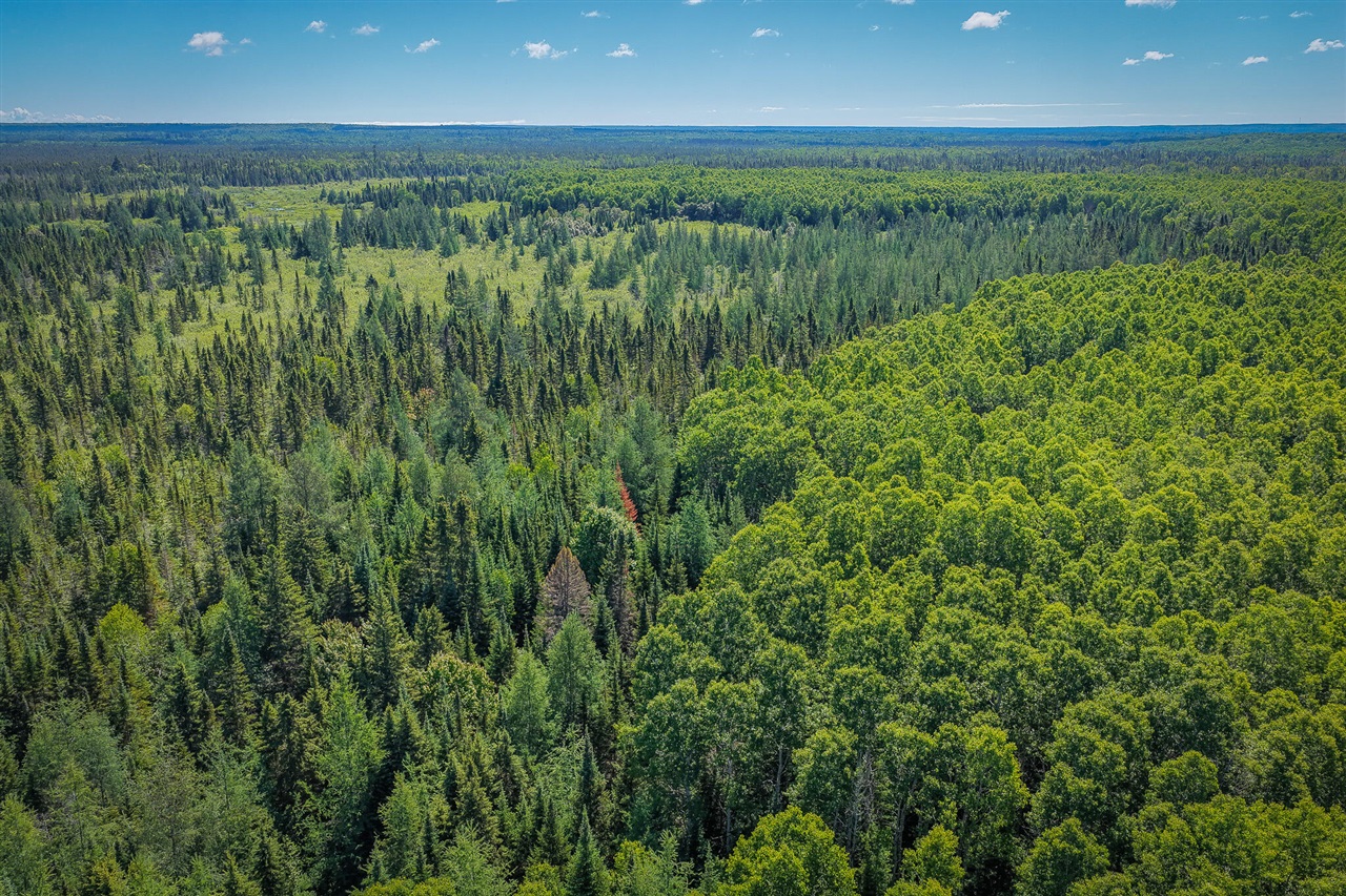 South North Hulbert Road Eckerman, MI 49728 - Photo 11 of 29