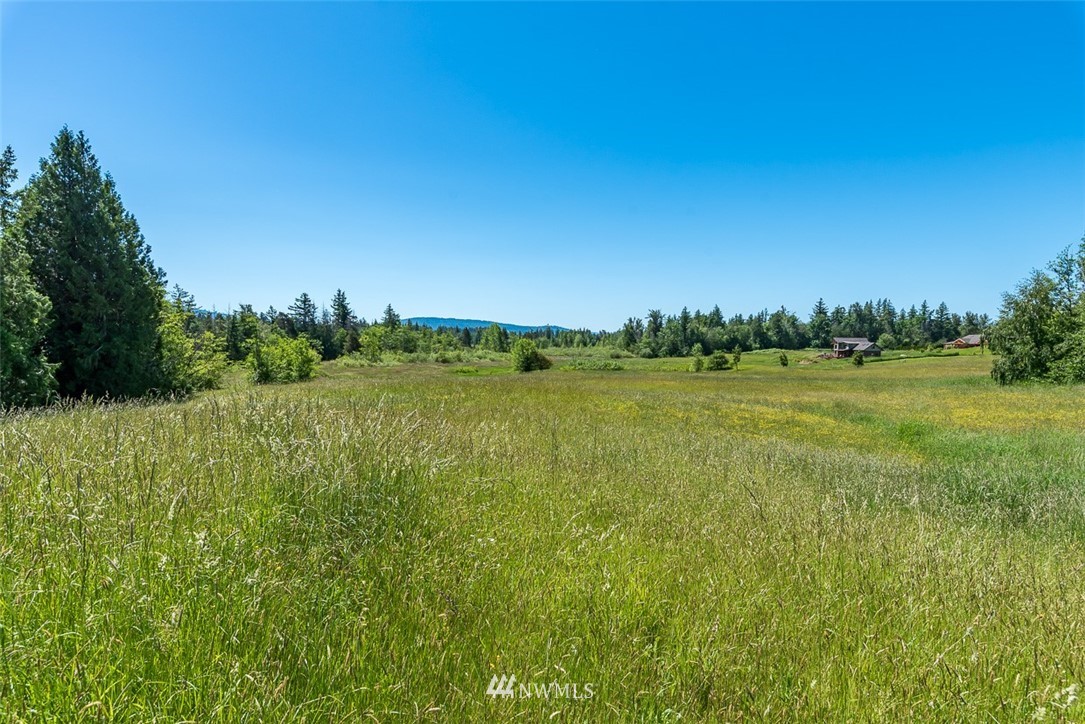 2181 Central Road Everson, WA 98247 - Photo 31 of 34