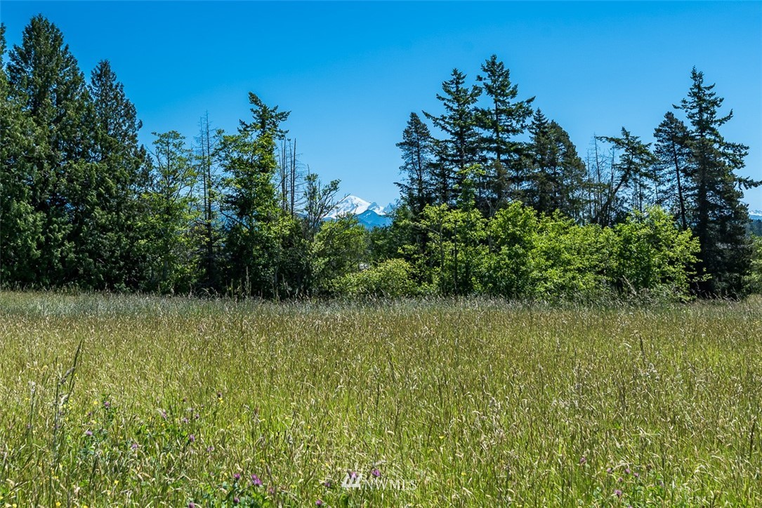 2181 Central Road Everson, WA 98247 - Photo 32 of 34