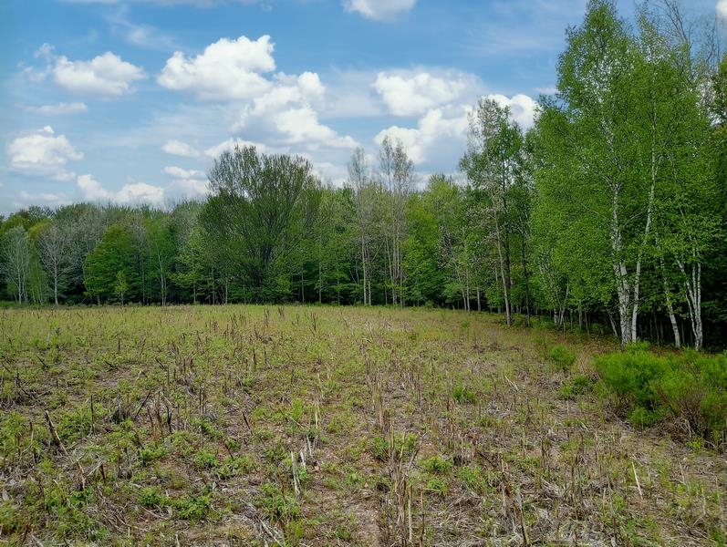 58-acres Northeast County Line Road Coleman, MI 48618 - Photo 25 of 45