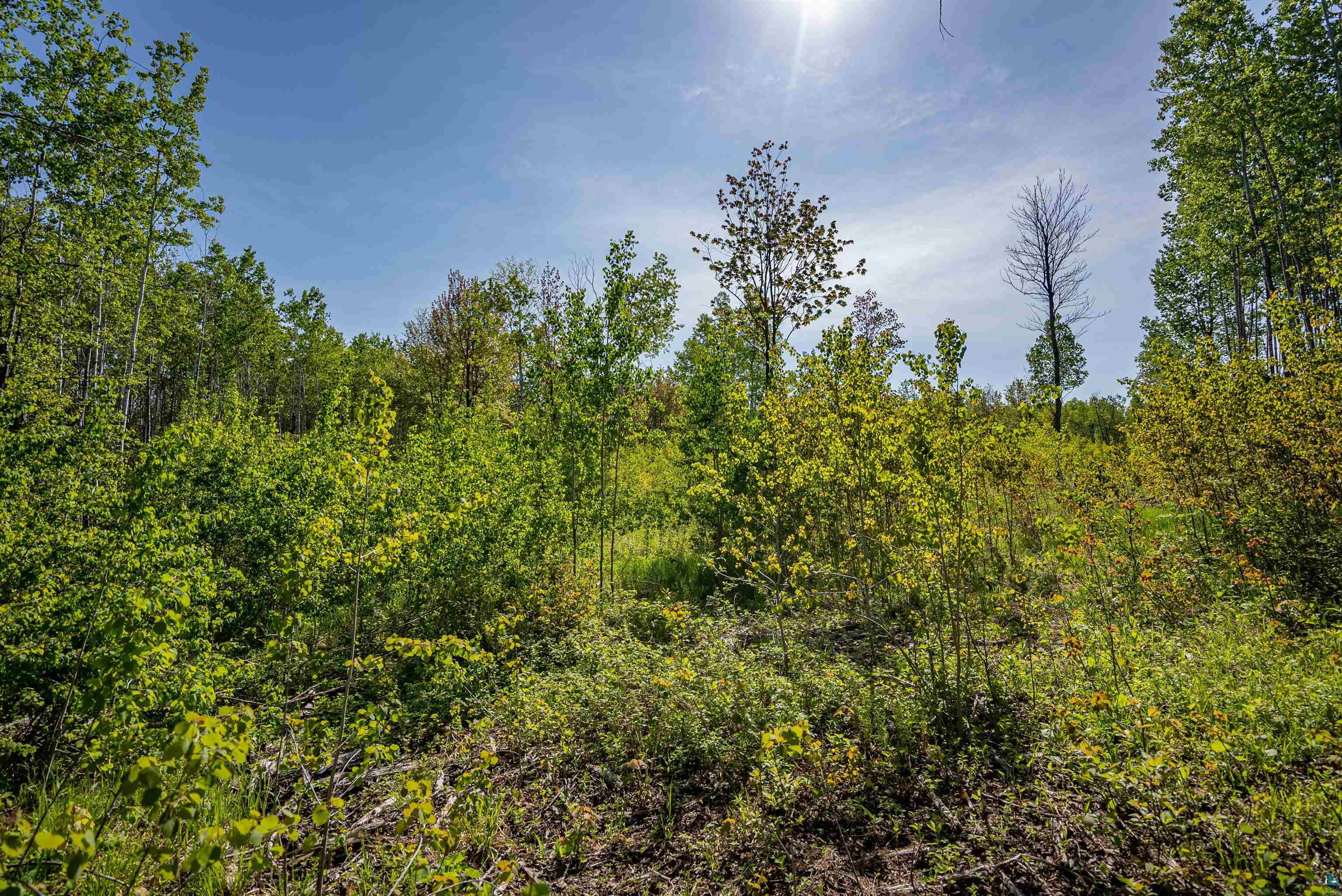 3679 22nd Road South Range, WI 54874 - Photo 41 of 48