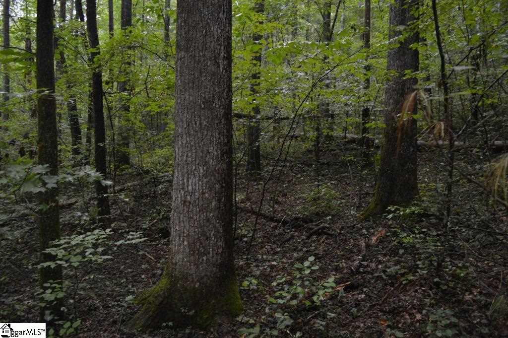 River Road Cleveland, SC 29635 - Photo 11 of 20
