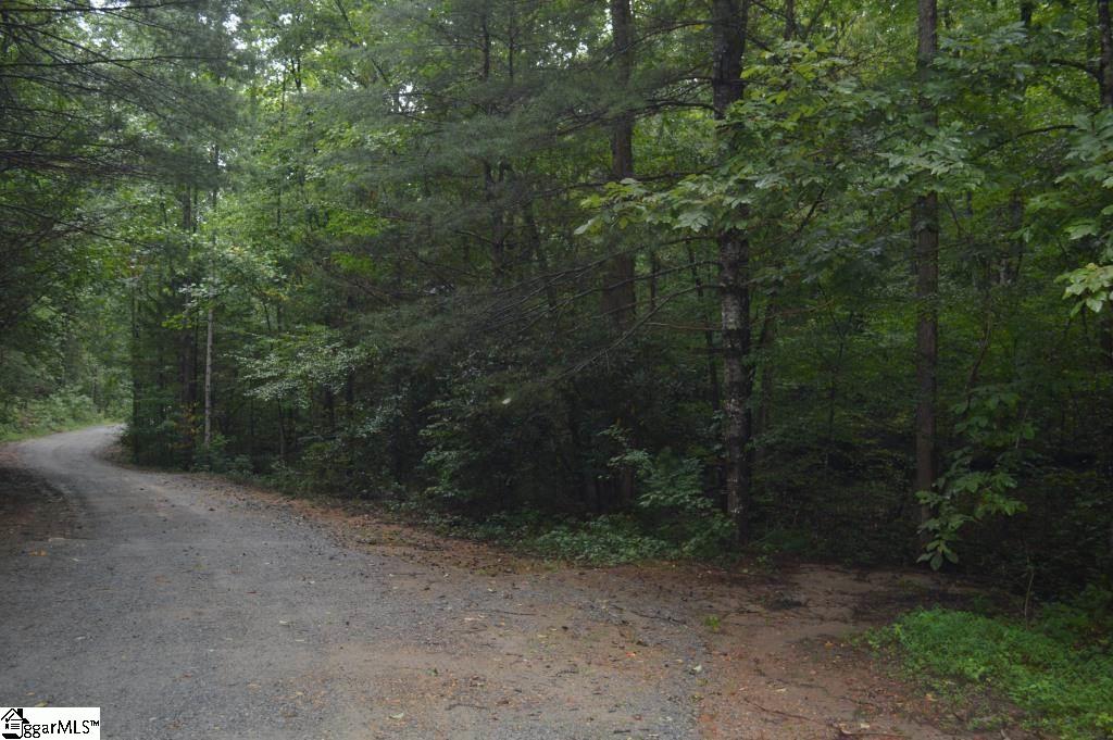 River Road Cleveland, SC 29635 - Photo 12 of 20