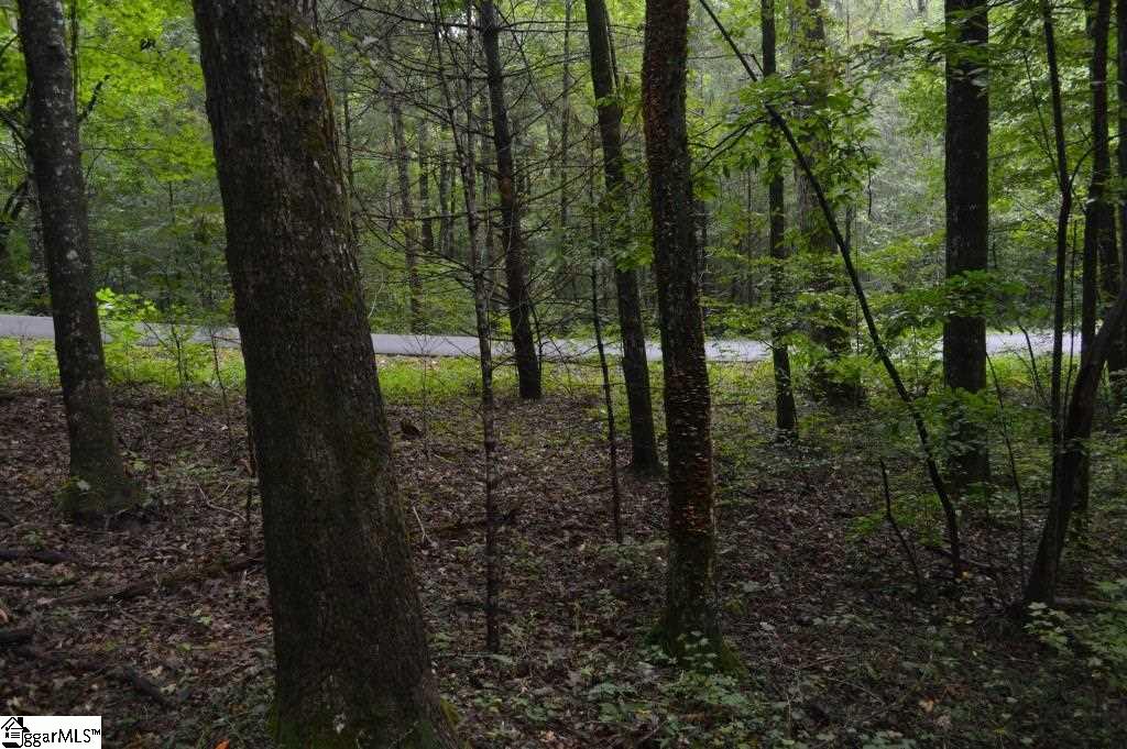 River Road Cleveland, SC 29635 - Photo 13 of 20