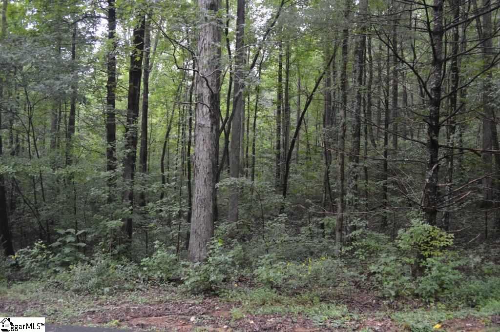 River Road Cleveland, SC 29635 - Photo 14 of 20