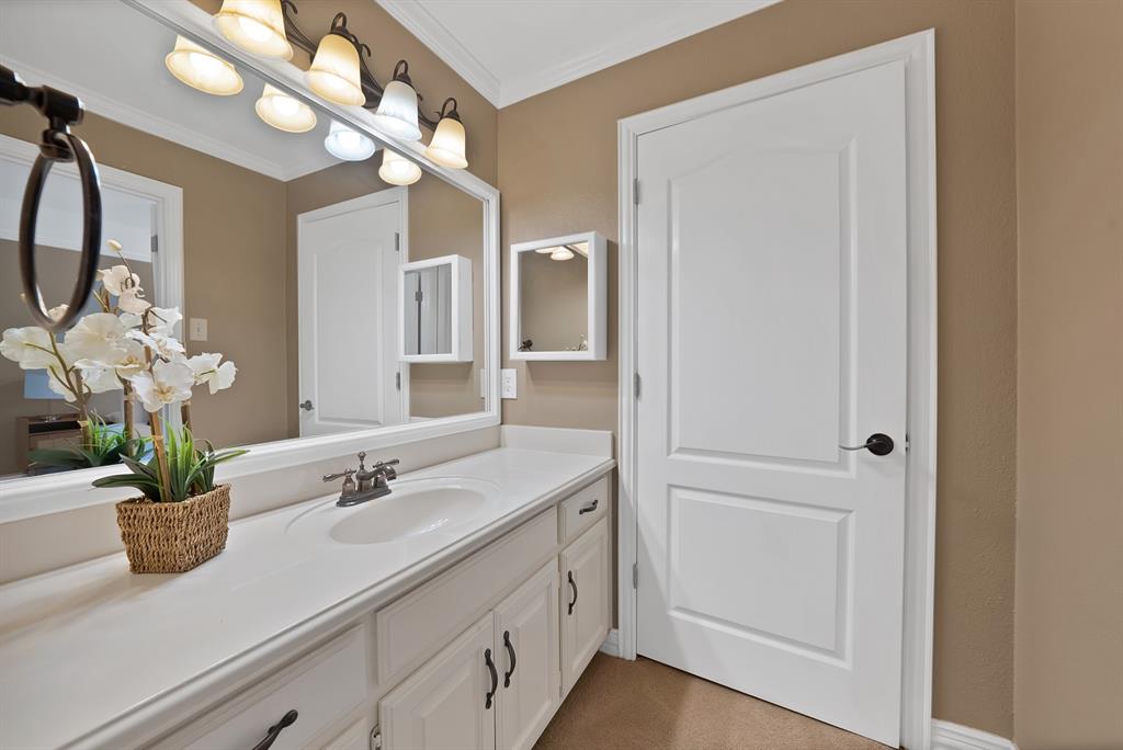 1110 McCampbell Road Mansfield, TX 76063 - Photo 21 of 39 a bathroom with a sink a potted plant and a mirror