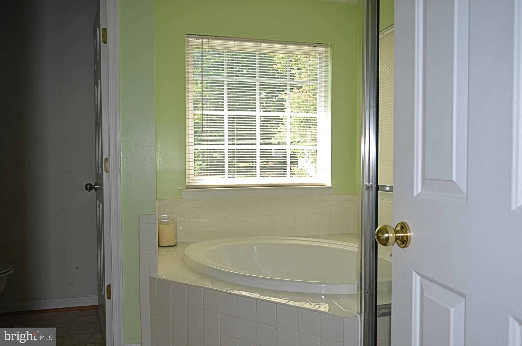 462 Blossom Tree Road Culpeper, VA 22701 - Photo 15 of 17 Bath (Master)