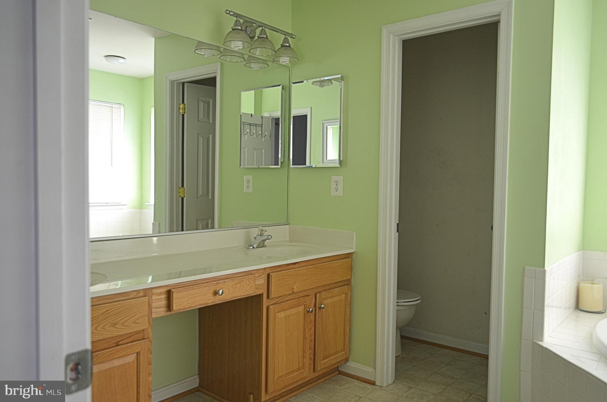 462 Blossom Tree Road Culpeper, VA 22701 - Photo 16 of 17 Bath (Master)