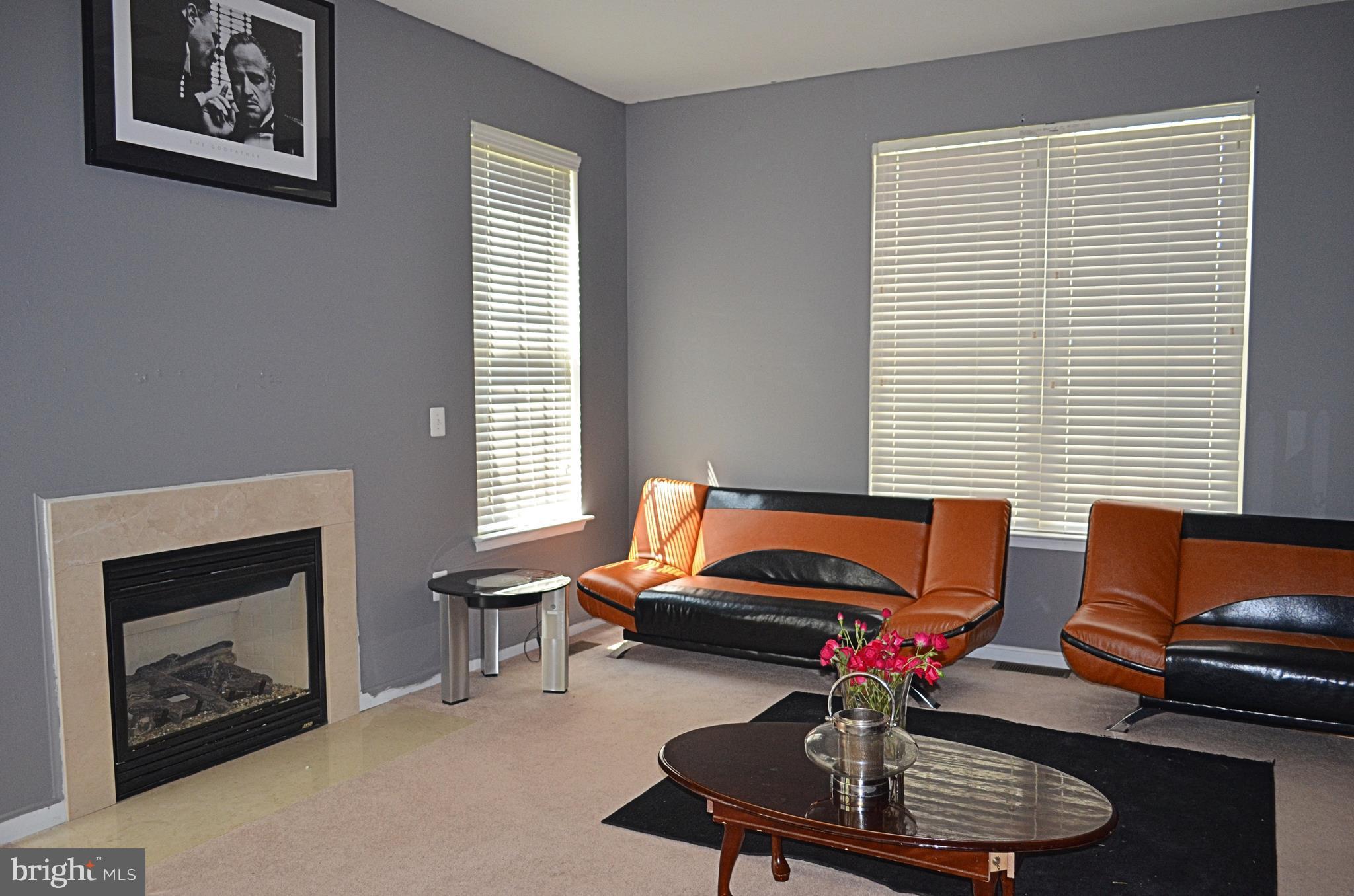 462 Blossom Tree Road Culpeper, VA 22701 - Photo 5 of 17 Family Room