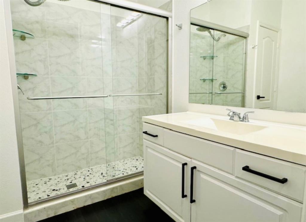 8843 Villa View Circle, Unit 207 Orlando, FL 32821 - Photo 20 of 36 a bathroom with a sink a shower and a mirror