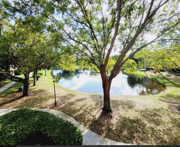 a view of outdoor space yard swimming pool and green space