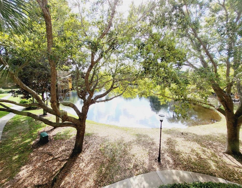 8843 Villa View Circle, Unit 207 Orlando, FL 32821 - Photo 30 of 36 a view of a tree in the middle of a yard
