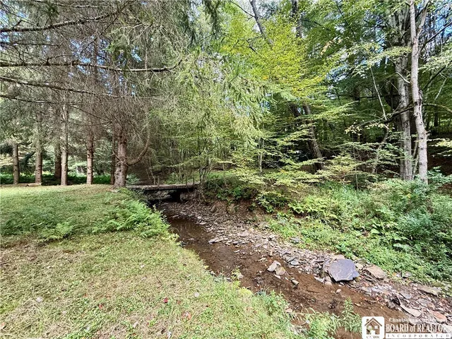 $60,000 | 0 Salt Rising Road, Bolivar, NY 14715