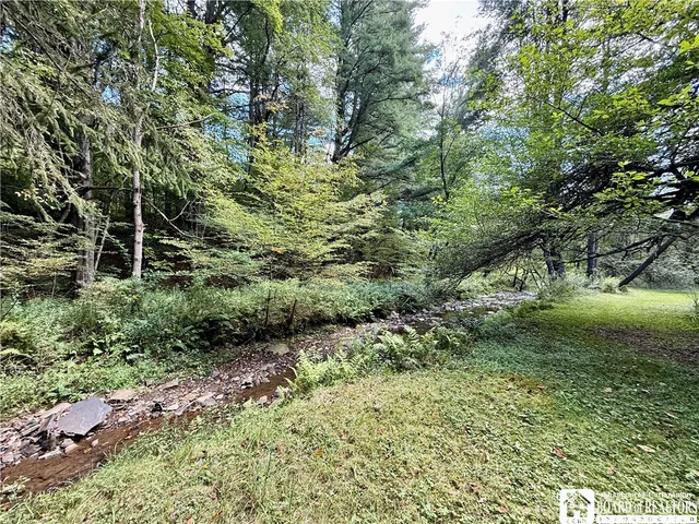 $60,000 | 0 Salt Rising Road, Bolivar, NY 14715