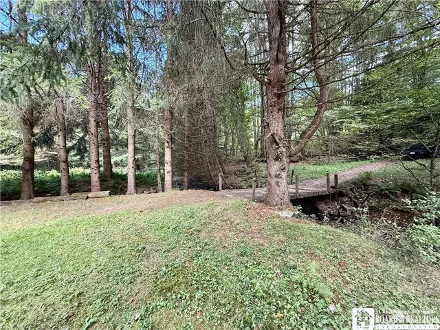 $60,000 | 0 Salt Rising Road, Bolivar, NY 14715