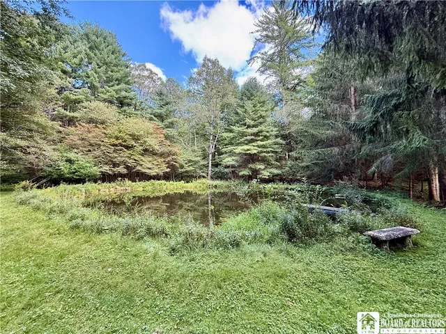 $60,000 | 0 Salt Rising Road, Bolivar, NY 14715