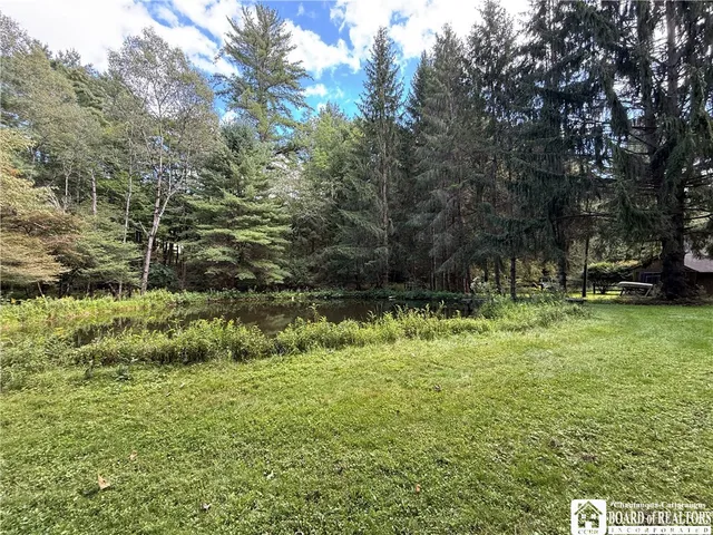 $60,000 | 0 Salt Rising Road, Bolivar, NY 14715