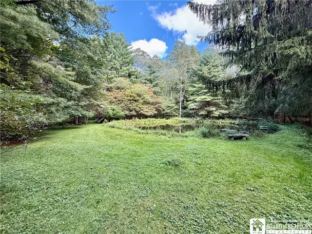 $60,000 | 0 Salt Rising Road, Bolivar, NY 14715