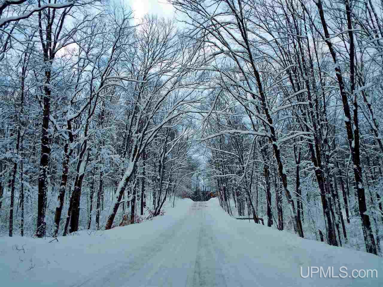 11541 Rams Dam Road Manistique, MI 49854 - Photo 10 of 35 Gallery Image 10