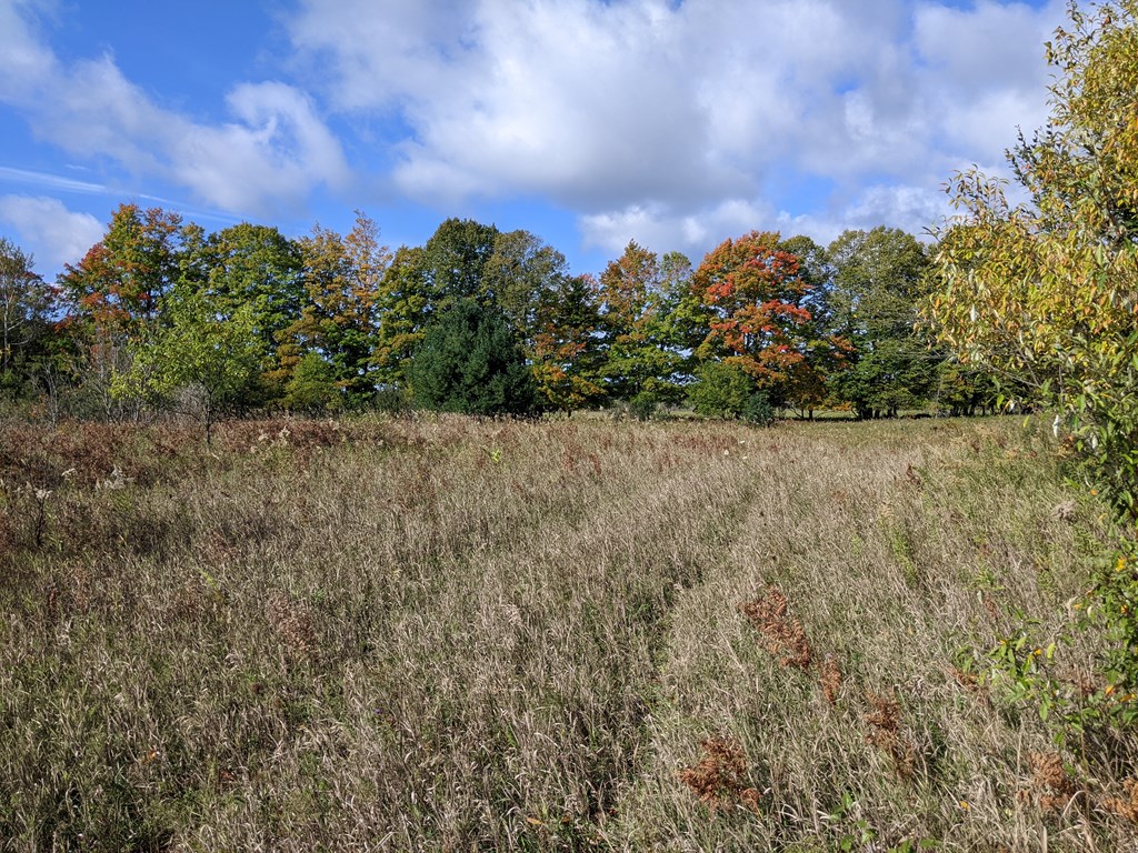 N/a N/a Wild Nest Road Fish Creek, WI 54212 - Photo 7 of 12